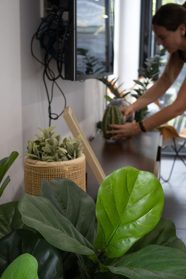 Aleka styling a freshly cleaned living space with indoor plants